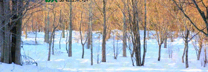 ＪＡバンク東京